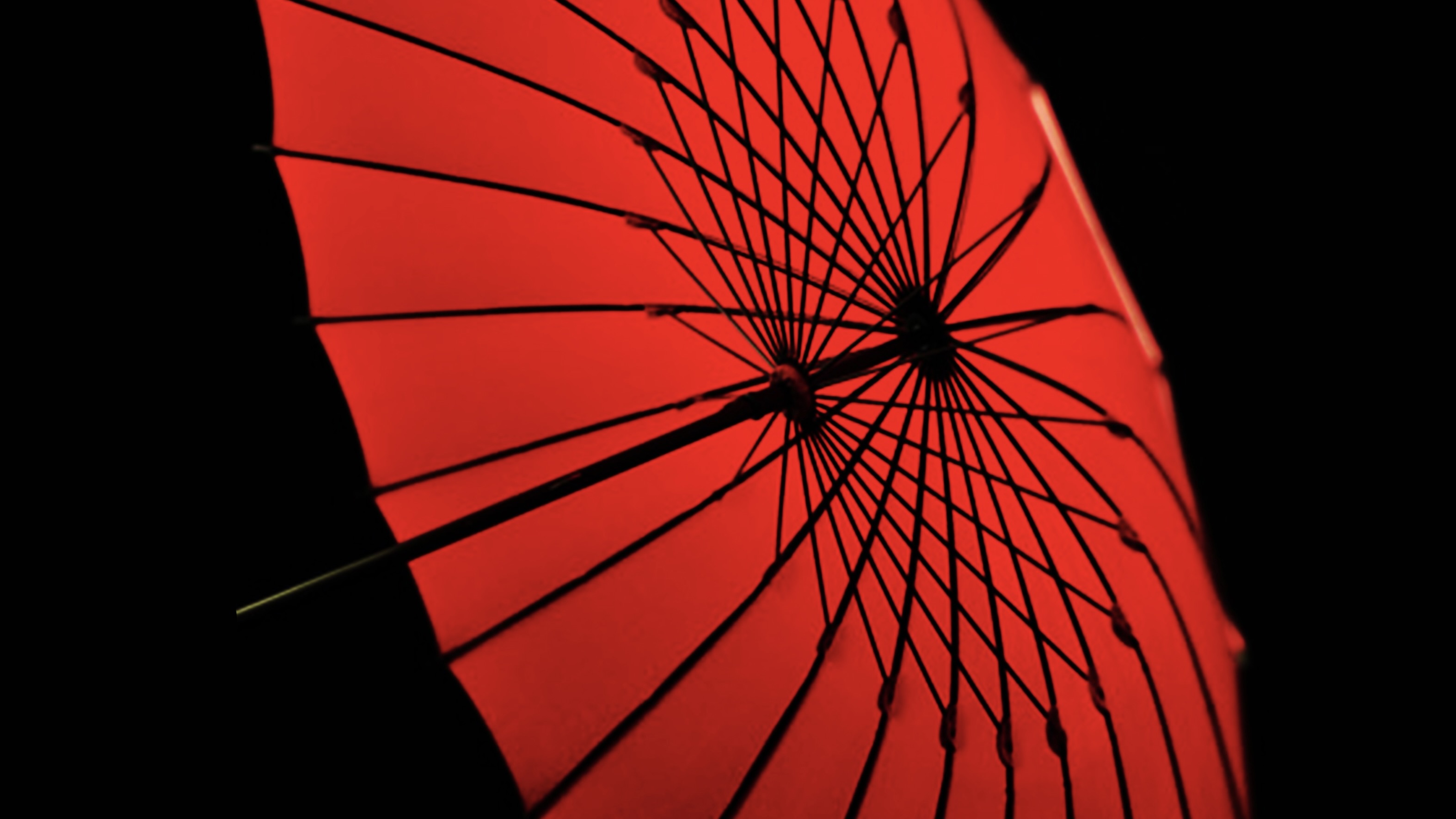福井洋傘が目指す“世界で一番やさしい傘” | fashion tech news